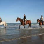 Ravenna - Passeggiate a cavallo in spiaggia